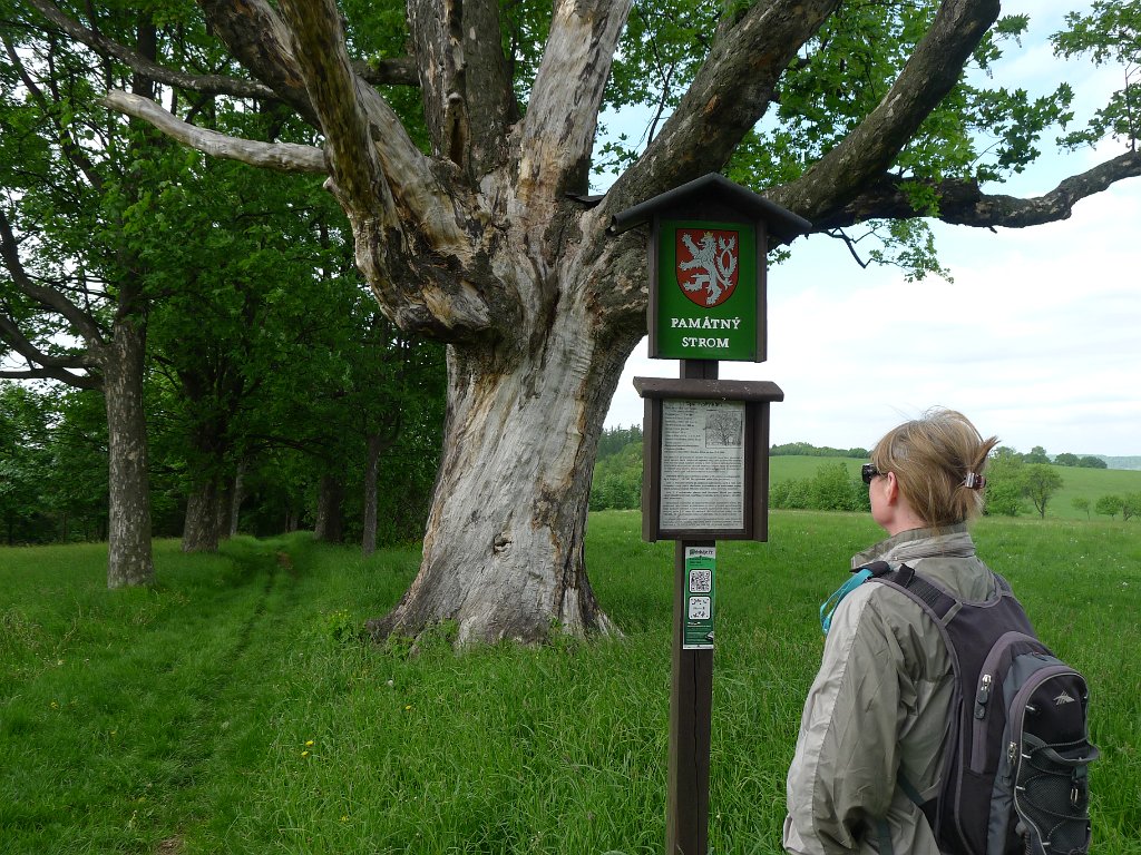 PavlaCzechVisit 205
